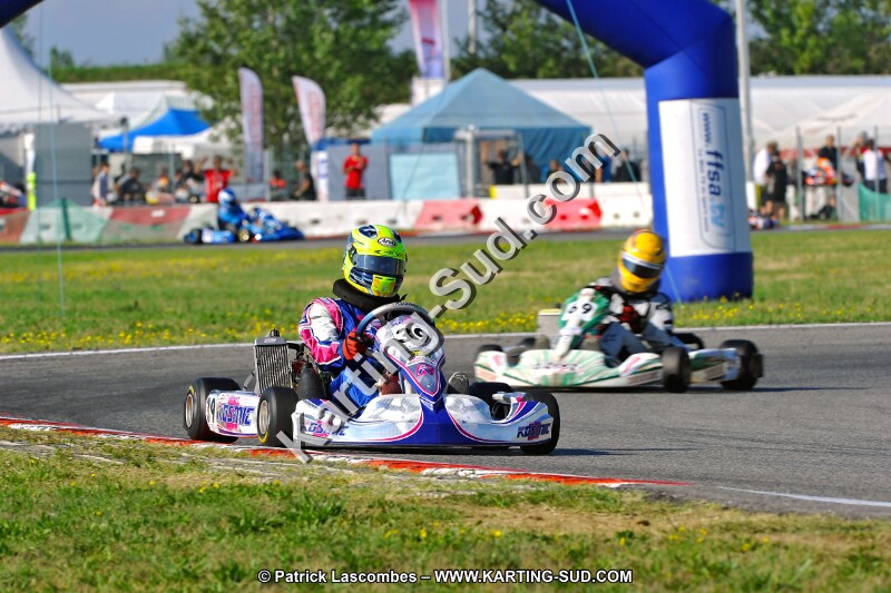 DSC_ (1036).jpg